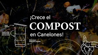 Mirá como creció el compost en Canelones [upl. by Ninnahc]