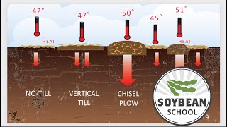 Soybean School To till or not to till [upl. by Adnima316]