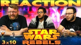 Star Wars Rebels 3x10 REACTION quotVisions and Voicesquot [upl. by Francklyn]