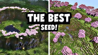 TOP 3 BEST SEEDS FOR MCPEMCBE 121 [upl. by Miharba]