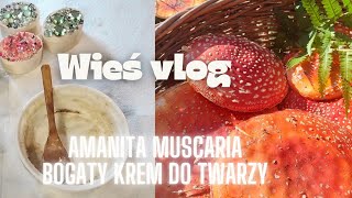 AMANITA MUSCARIA i KONOPIE SIEWNE BOGATY KREM PRZECIWZMARSZCZKOWY [upl. by Carmella204]