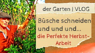 der Gartenblog 1  BüscheSträucher schneiden und und und  Perfekte Herbstarbeit [upl. by Fidelia211]