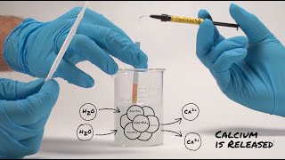 Testing The Alkaline pH of TheraCal LC [upl. by Marketa]