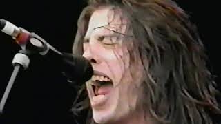 Foo Fighters  Phoenix Festival Stratford Upon Avon United Kingdom 19071996 [upl. by Naoma]