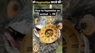 Want to learn how to hypnotize animalsWatch this video🦒🦓👀 hypnotist magictricksvideos [upl. by Burwell]