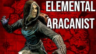 The Arcane Elementalist  Skyrim Anniversary Edition Build [upl. by Airdnna452]