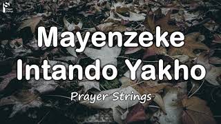 Mayenzeke Intando Yakho  Strings Prayer Music [upl. by Yeneffit148]