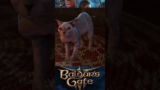 Pet His Majesty baldurgate3 bg3 [upl. by Bartolomeo]