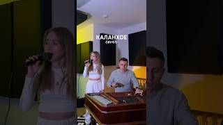 Коли каланхое на повторі 🎧 ❤️‍🔥Цимбали Михайло Чудновський каланхое tvorchi singer кавер [upl. by Farrington]