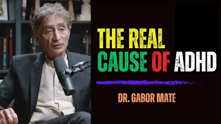 ADHD The TRUTH You NEED to Know with Dr Gabor Maté [upl. by Aelrac]