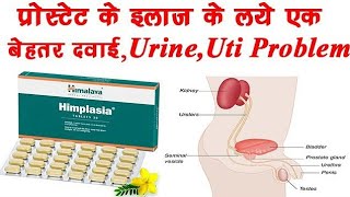 Himalaya Himplasia tablet ke fayede prosted ka badjana peshab ruk ruk kar ana [upl. by Bendix29]