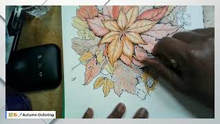 October Coloring Live [upl. by Athal]