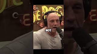 Your Health Is Your Wealth Joe Rogan Adam Sandler Podcast podcast joerogan adamsandler actor [upl. by Yellat]