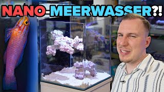 Funktionieren NANOMEERWASSERAQUARIEN  Anfänger TUTORIAL [upl. by Sheldon]