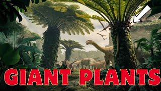 THE AGE OF PREHISTORIC GIANT PLANTS  DOCUMENTARY [upl. by Boylan198]