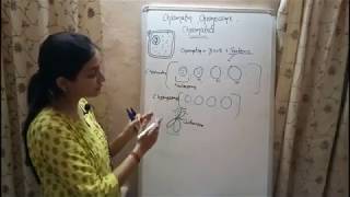 BIOLOGY Lecture 3  Chromatin Chromosome and Chromatid  Genetics Biology [upl. by Joslyn812]