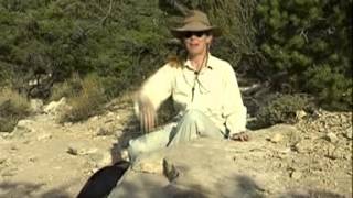 Reading rock strata  Layers in the Grand Canyon [upl. by Ahgem331]