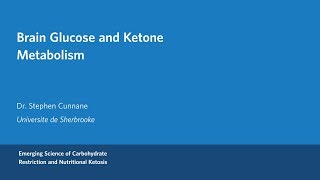 Dr Stephen Cunnane  Brain Glucose and Ketone Metabolism [upl. by Leunammi510]