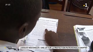 Langues régionales  une loi sur la protection patrimoniale adoptée [upl. by Ailegnave]