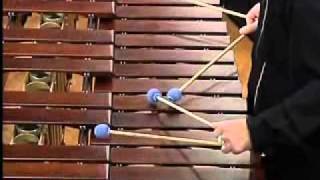 Marimba concerto quotCorridorsquot by Slavko Shuklar Performed by Nebojsa Zivkovic [upl. by Wj884]