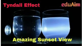 Tyndall Effect Experiment Chemical Sunset  Lightscattering  Why Sky Appears Blue [upl. by Erusaert59]