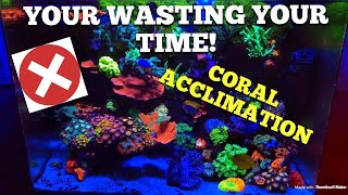 The Truth About Coral Acclimation Waste of time [upl. by Russi]