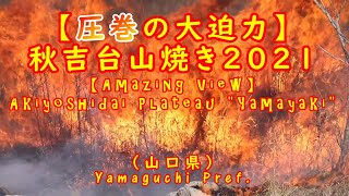 【圧巻の大迫力】秋吉台山焼き2021（山口県）【Amazing View】Akiyoshidai Plateau quotYamayakiquot Yamaguchi Pref [upl. by Ninel]