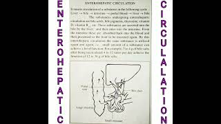 Enterohepatic circulation liver bile salt bile acids mcqs biology [upl. by Finella521]