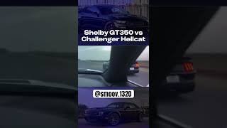 GT350 🆚 Hellcat [upl. by Ayita750]