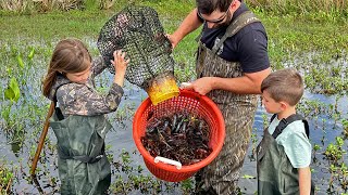 Catch Your Own CRAWFISH in a Pond  Red Swamp Crayfish Catch and Cook [upl. by Samot]