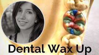 Wax up Perfekte Vorbereitung für Zahnmedizin amp Zahntechnik Molar 36 TPK Kurs leicht gemacht [upl. by Suki410]