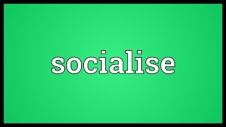 Socialise Meaning [upl. by Halimaj]