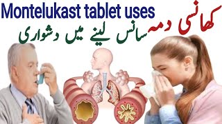 Montelukast 10 mg tablet  Myteka tablet 10 mg uses  Floaid 10 mg uses  allergy aur dama ka ilaj [upl. by Eceined]