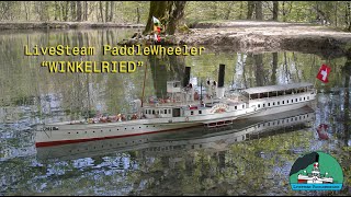 PADDLE WHEELER Steamboat Winkelried live steam rc model  bateau à aubes vapeur vive Lac Leman CGN [upl. by Zachar637]