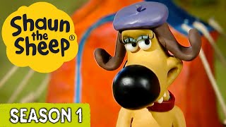 Off the Baa amp Fetching  Shaun the Sheep Season 1 x2 Full Episodes  Cartoons for Kids [upl. by Marylinda]