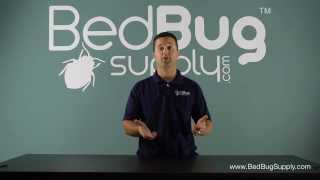 Why Bug Bombs Do Not Work Against Bed Bugs [upl. by Nodnalb844]