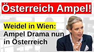 Alice Weidel in Wien warnt vor der Ampel die Schrecken und Katstrophen der deutschen Ampel [upl. by Sabine662]