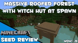 Roofed Forest amp Witch Hut At Spawn 17 Seed Spotlight [upl. by Rodolph146]