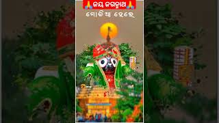 🙏ଜୟ ଜଗନ୍ନାଥ 🙏ମୁ ଓଡ଼ିଆ ଭାରି ଭାଢିଆ 💐❤️❤️❤️ odia odiamusic odiabhajanashort pipili toka [upl. by Notsgnik]