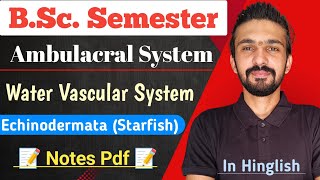 Water Vascular System In Echinodermata  StarFish  Bsc Semester  By Dadhich Sir [upl. by Jessen]