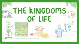 Kingdoms of Life  Animals Plants Fungi Protoctists Bacteria and Viruses 1 [upl. by Almeeta451]