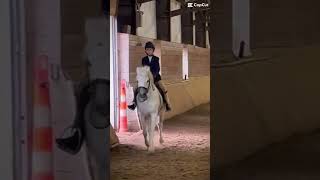 This schooling show was a hit moonshine vivienneandherponys ringsideeqsenter [upl. by Ahseer]