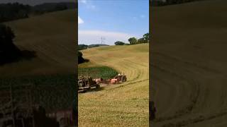 Baling Small Square Hay Bales farming agriculture tractor johndeere caseih summer dairyfarm [upl. by Nylicaj]