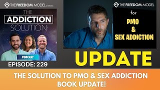 The Addiction Solution Podcast  Ep 229 The Solution to PMO amp Sex Addiction Book Update [upl. by Nosdivad]