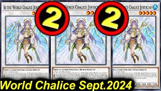 【EDOPRO】WORLD CHALICE DECK POST TCG BANLIST SEPT2024 [upl. by Ojoj]