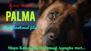 A dog named Palma  2021 Full movie explained in manipuri  True story of a dog  LE [upl. by Cowley873]