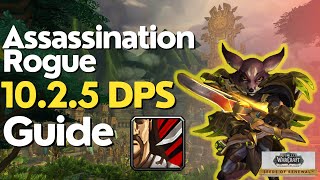 Assassination Rogue 1025 Beginner Guide [upl. by Ahsatel]