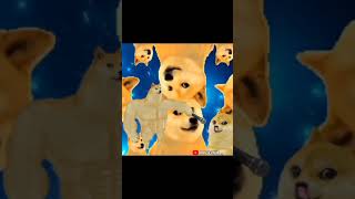 MERA YASHU YASHU😳  DOGE cringedogearmy cringedoge [upl. by Auqinahc]