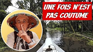 Voyage dans une foret de Mangroves et un sanctuaire doiseaux [upl. by Hackathorn281]