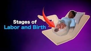 Stages of Labor Explained What to Expect During Childbirth  Labor amp Delivery Guide [upl. by Akers]